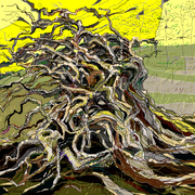 Bsjuii_card