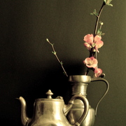 Dsc02800_card