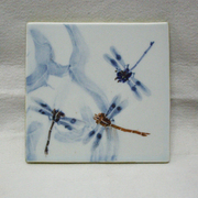 Figure_with_3_dragonfly_card