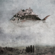 Fish-beter-final_desaturated_card