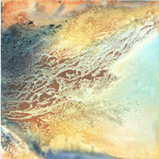 483_485_486_jw_card