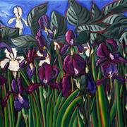 Iris-garden_card