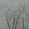 Straw_and_seed__i__koldn_l__225_x_275_mm