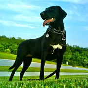 2009-08-03_19