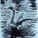 Dsc01550_square