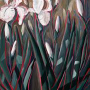 White-iris_card