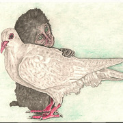 L_amicizia_jpg_200_card