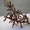 Dna-_structures_thumb