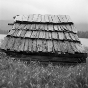 Shed_card