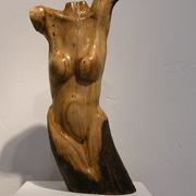 Female_in_oak_card