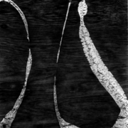 Untitled_15_card