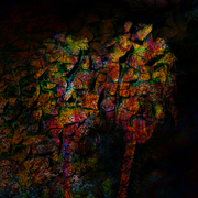 Palmtreesabstract_card