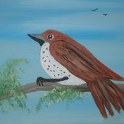 Dsc00962_card