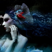 Untitled-1_1_card