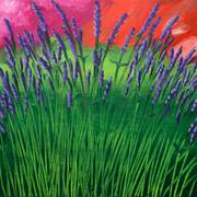 Lavender-nat