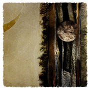 The_shaman_dreams_card