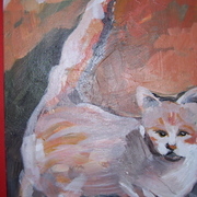 Cat_ghost_card