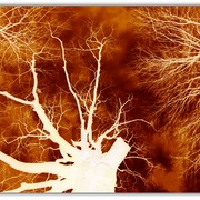 Untitled1_card