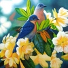 Birds_005_thumb