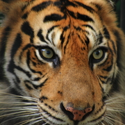Img_4518_card