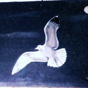 Scan0307_card