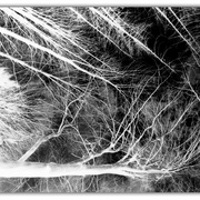 Untitled-1_card