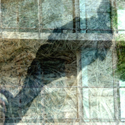 Walking_card