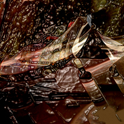 Wine_card