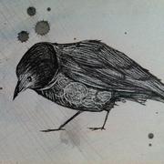 Photo_3__card