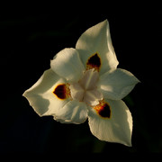 2011_03_08_1828_1024x765_card
