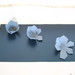 Img_0040_square