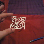 Newest_stufff_023_card