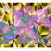 Transparent_spring_card