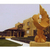 Gallo_i_tiny_square