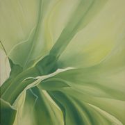 Weisse_amaryllis_card