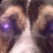 Purpleeyesjuno2_card