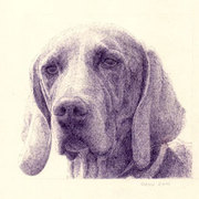 Dog_small_card