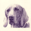 Dog_small_thumb