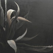Ejemplo_para_olio_sobre_tela_de_122x122cm_card