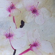 P3250109_card