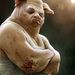 Boxer_by_michael_kutsche_square