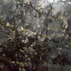 Spring_thumb