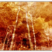 Untitled-1_card