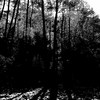 Durango_1_264_thumb