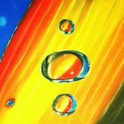 Gota_d_agua_4_60x80_ost_card