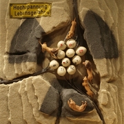 Osterbild_card