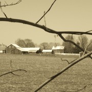 Farm_and_branches_in_sepia_card