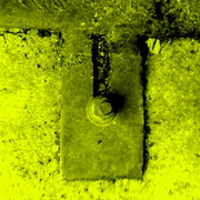 ______3619_card
