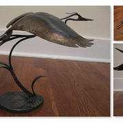 Heron_08_card