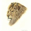 Pastel_lion__480_x_600__thumb